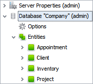 DBMS database management system: DBMS Entities